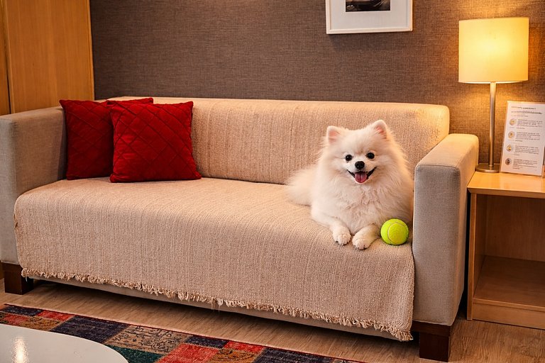 Rio Vibes Sinta-se Em Casa !